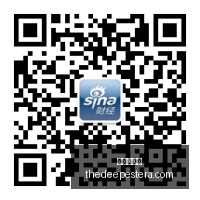 外交部,台湾问题上,没有灰色地,皇冠网官网,皇冠网官网App,皇冠网官网下载,皇冠网官网登录,皇冠网官网平台